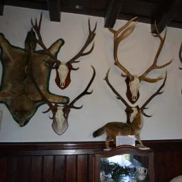 K?kapu Vadászkastély és Hotel & Apartments, Nagyhuta - Belső