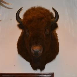 K?kapu Vadászkastély és Hotel & Apartments, Nagyhuta - Belső