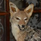 Kőkapu Vadászkastély és Hotel & Apartments Nagyhuta - Egyéb