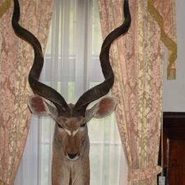 K?kapu Vadászkastély és Hotel & Apartments, Nagyhuta - Belső