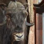 Kőkapu Vadászkastély és Hotel & Apartments Nagyhuta - Egyéb