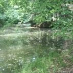 Ensana Thermal Sárvár Sárvár - Környék