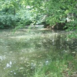 Ensana Thermal Sárvár Sárvár - Környék