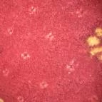 Hotel Napfény Balatonlelle Balatonlelle - Egyéb