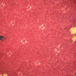 Hotel Napfény Balatonlelle Balatonlelle - Egyéb