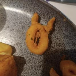 Csakhal Bisztró - Belváros Debrecen - Étel/ital