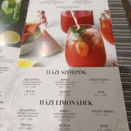 Csokonai Söröző & Étterem, Debrecen - Étlap/itallap