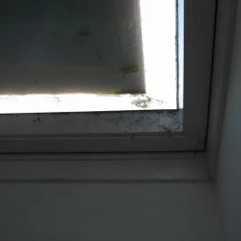 Várszálló Apartman Gyula - Egyéb