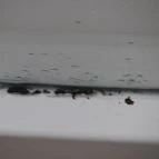 Várszálló Apartman Gyula - Egyéb