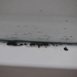 Várszálló Apartman Gyula - Egyéb