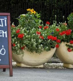 Tópart Hotel étterme