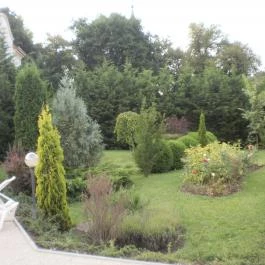 Hotel Villa Völgy Eger - Medence/kert