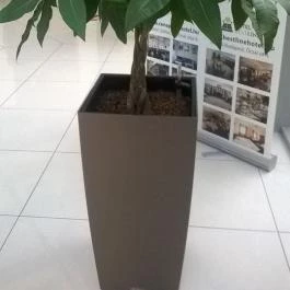 CE Plaza Hotel, Siófok - Környék