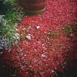 CE Plaza Hotel, Siófok - Környék