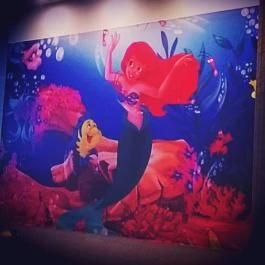 CE Plaza Hotel, Siófok - Egyéb