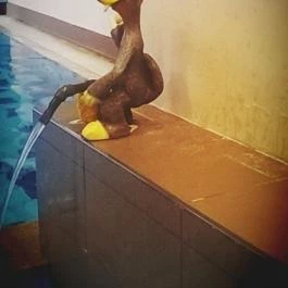 CE Plaza Hotel, Siófok - Egyéb