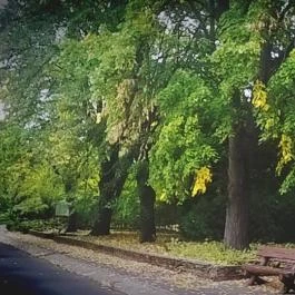 Club Aliga Balatonvilágos - Környék