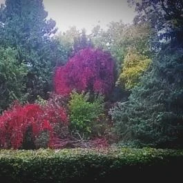 Club Aliga Balatonvilágos - Környék