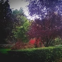 Club Aliga Balatonvilágos - Környék