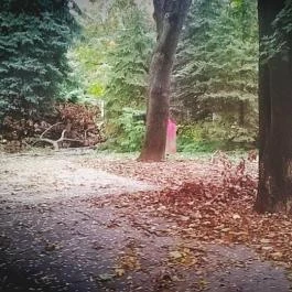 Club Aliga Balatonvilágos - Környék