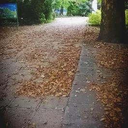 Club Aliga Balatonvilágos - Környék