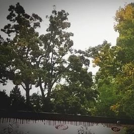 Club Aliga Balatonvilágos - Környék