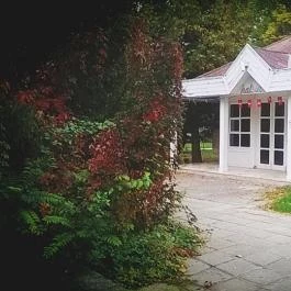 Club Aliga Balatonvilágos - Környék