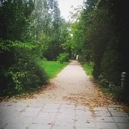 Club Aliga Balatonvilágos - Környék