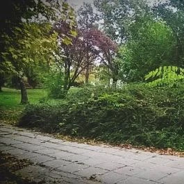 Club Aliga Balatonvilágos - Környék