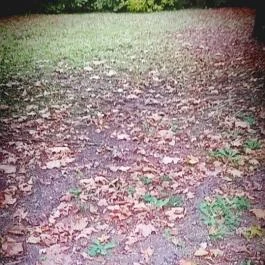 Club Aliga Balatonvilágos - Környék