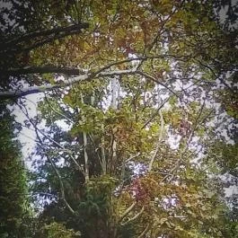 Club Aliga Balatonvilágos - Környék