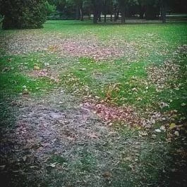 Club Aliga Balatonvilágos - Környék