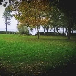 Club Aliga Balatonvilágos - Környék