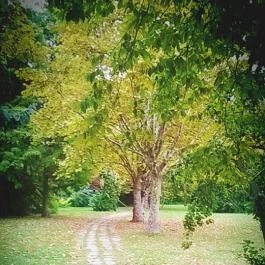 Club Aliga Balatonvilágos - Környék