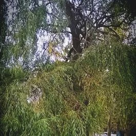 Club Aliga Balatonvilágos - Környék