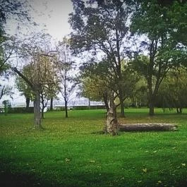 Club Aliga Balatonvilágos - Környék