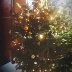 Hotel Xavin Harkány - Egyéb