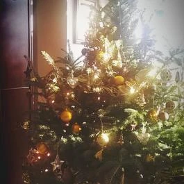 Hotel Xavin, Harkány - Egyéb