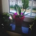 Hotel Xavin Harkány - Környék