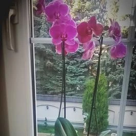 Hotel Xavin, Harkány - Környék