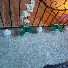 Libra Hotel, Veresegyház - Egyéb