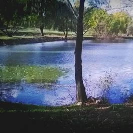 Zichy Park Hotel, Bikács - Medence/kert