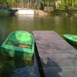 Zichy Park Hotel, Bikács - Medence/kert