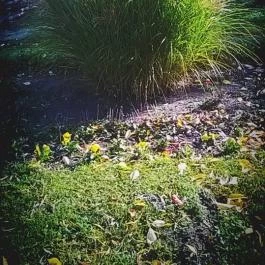 Zichy Park Hotel, Bikács - Medence/kert