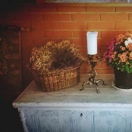 Zichy Park Hotel, Bikács - Egyéb