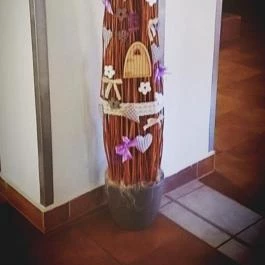 Zichy Park Hotel, Bikács - Egyéb