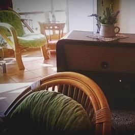 Zichy Park Hotel, Bikács - Egyéb