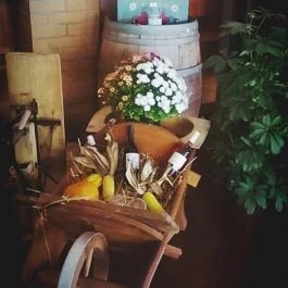 Zichy Park Hotel, Bikács - Egyéb