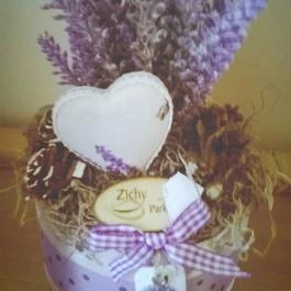 Zichy Park Hotel, Bikács - Egyéb