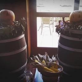 Zichy Park Hotel, Bikács - Egyéb